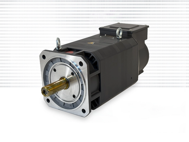 森远达高速异步电机